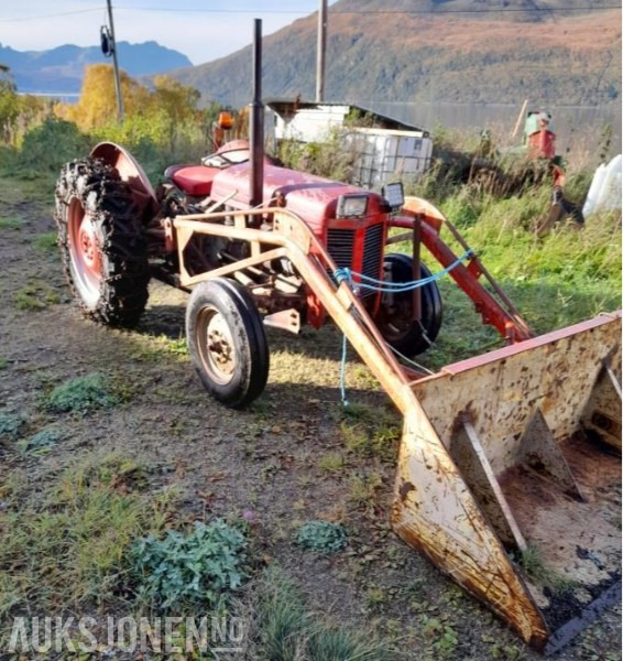 Traktor - Massey Ferguson - Tractor: foto 1 Traktor - Massey Ferguson - Tractor: foto 1