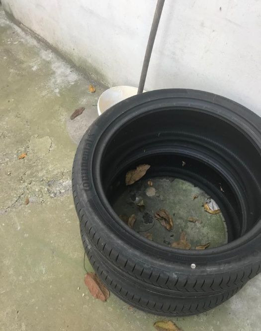 Anvelope Continental NOI ContisportContact 255 / 40 ZR 21 - Neumático para Coche: foto 1 Anvelope Continental NOI ContisportContact 255 / 40 ZR 21 - Neumático para Coche: foto 1