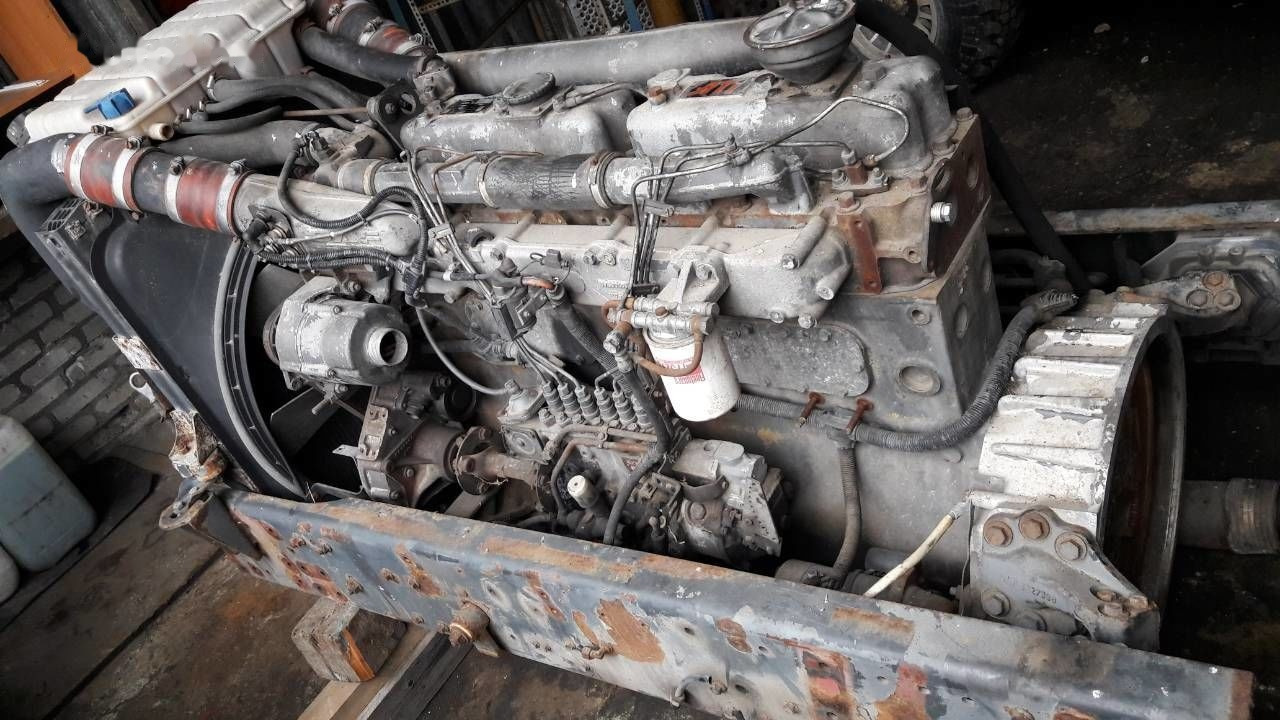 Motor para Camión DAF WS 268 G DAF 95, 85: foto 1