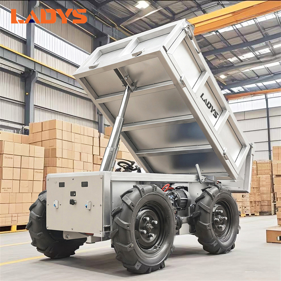 Cuadrimoto nuevo LADYS All-Terrain Four-Wheel Drive And Eight-Wheel Drive Transport Truck, Mountain Area Farm Orchard Greenhouse Construction Site Creeper Remote Control Electric Agricultural Transport Vehicle: foto 6