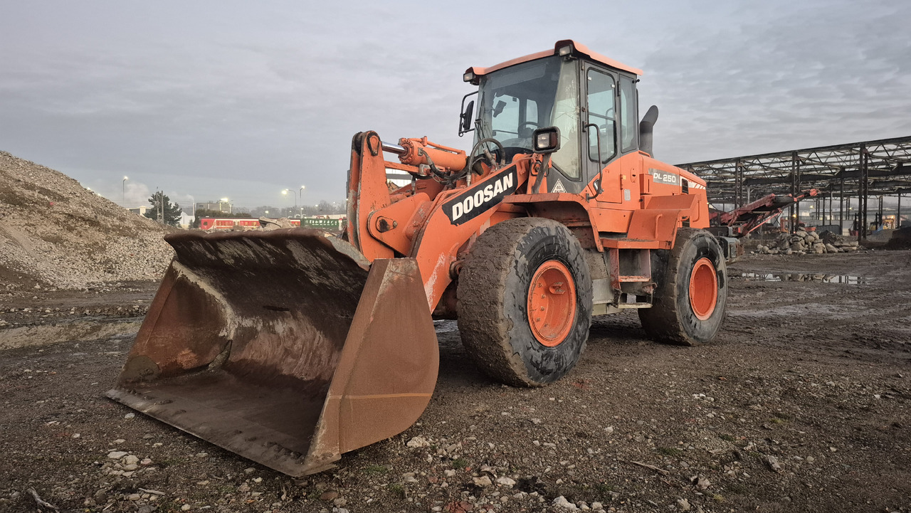 DOOSAN DL250-3 - Cargadora de ruedas: foto 2 DOOSAN DL250-3 - Cargadora de ruedas: foto 2
