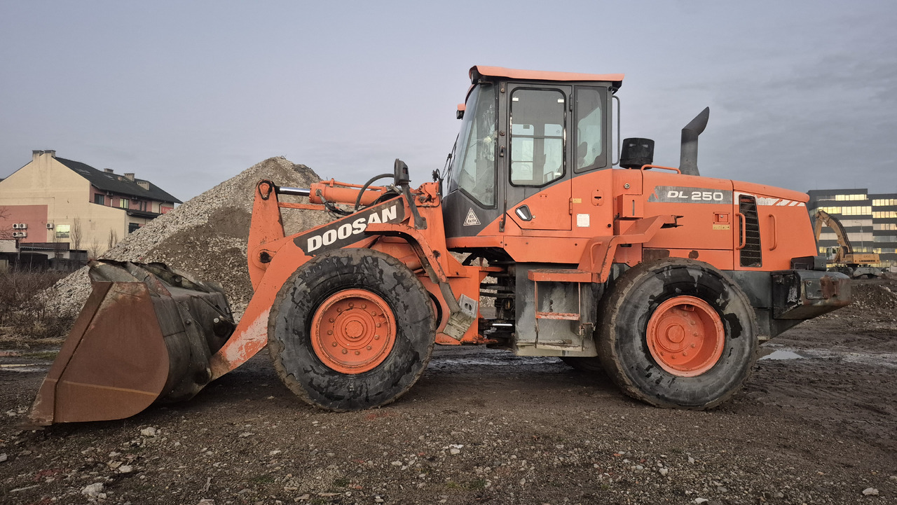 DOOSAN DL250-3 - Cargadora de ruedas: foto 1 DOOSAN DL250-3 - Cargadora de ruedas: foto 1