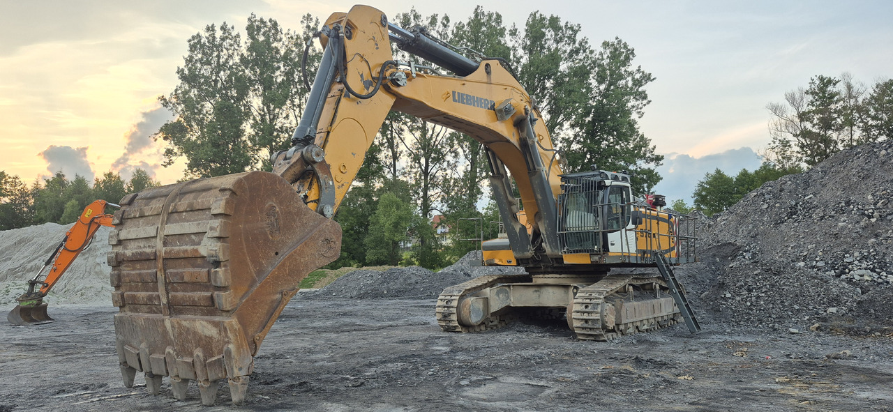Excavadora de cadenas LIEBHERR R976 HD: foto 10