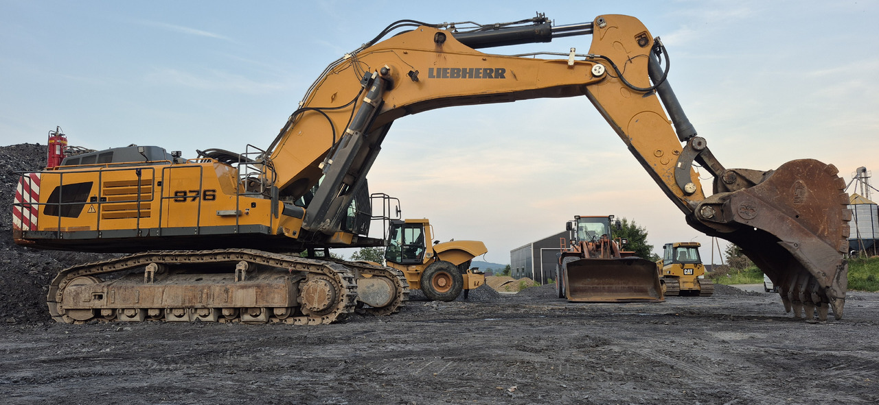 Excavadora de cadenas LIEBHERR R976 HD: foto 6