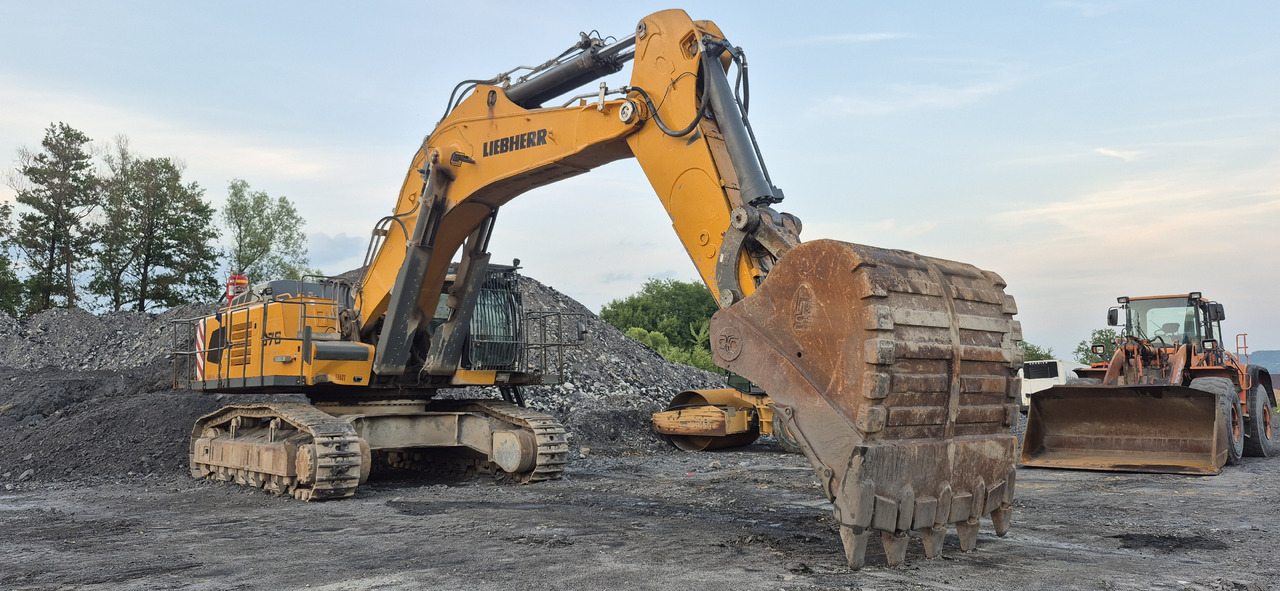 Excavadora de cadenas LIEBHERR R976 HD: foto 7