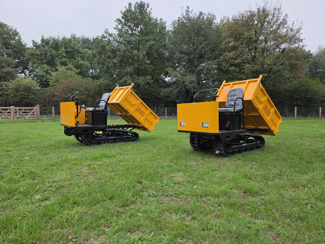 Sdlool sdld 25 mini dumper - Dúmper: foto 1 Sdlool sdld 25 mini dumper - Dúmper: foto 1