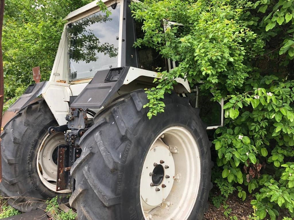 Lamborghini For Parts 1556 DT - Tractor: foto 3 Lamborghini For Parts 1556 DT - Tractor: foto 3