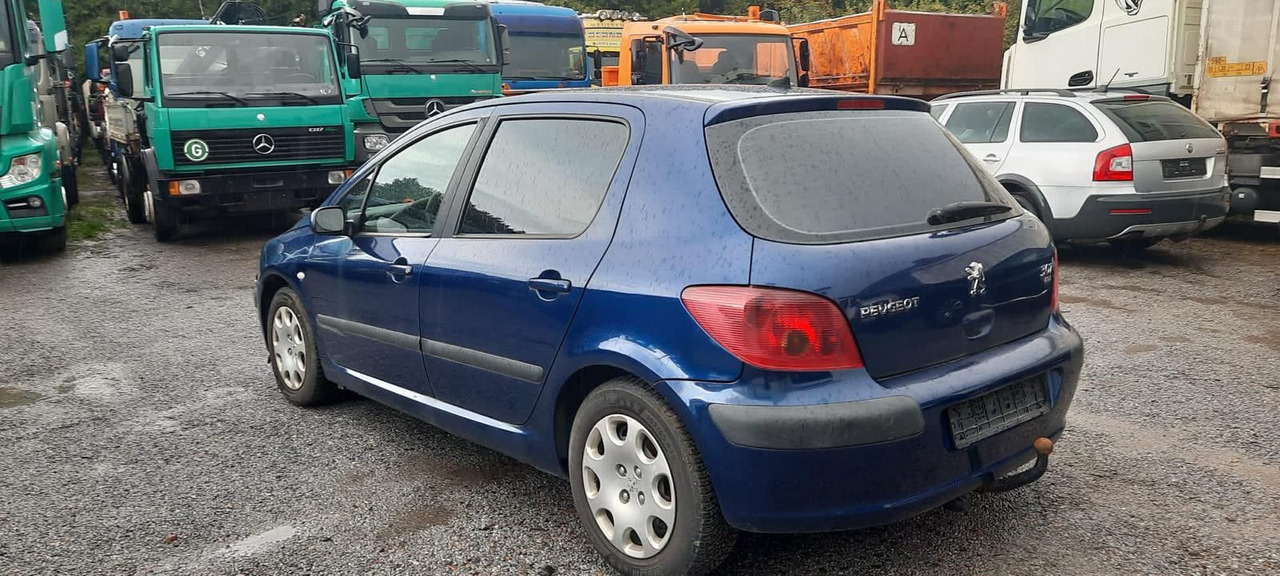 Peugeot 307 Grand Filou - Sedan: foto 1 Peugeot 307 Grand Filou - Sedan: foto 1
