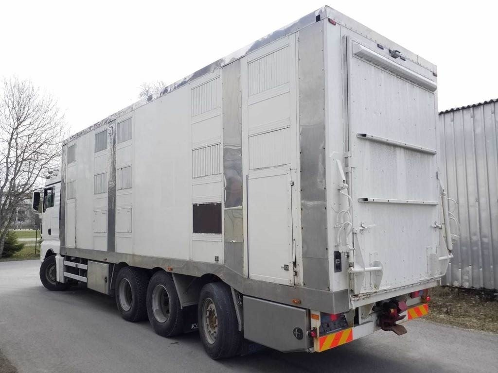 MAN TGX 35.540 8X4 TRIDEM ANIMAL - Camión transporte de ganado: foto 2 MAN TGX 35.540 8X4 TRIDEM ANIMAL - Camión transporte de ganado: foto 2