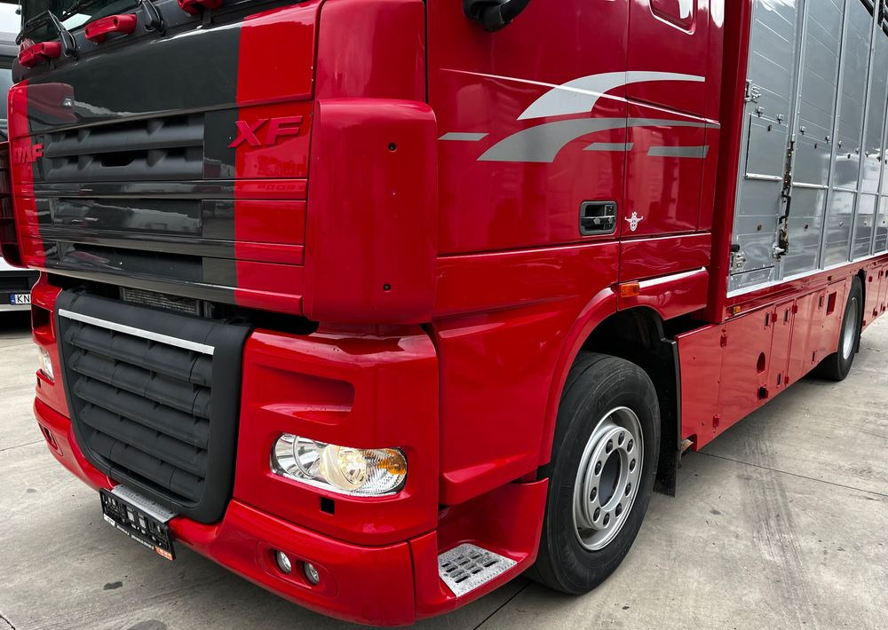 DAF XF 105.460 Euro 5 // Manual // Retarder // Do Żywca / Bydła / Zwierząt / - Camión transporte de ganado: foto 4 DAF XF 105.460 Euro 5 // Manual // Retarder // Do Żywca / Bydła / Zwierząt / - Camión transporte de ganado: foto 4