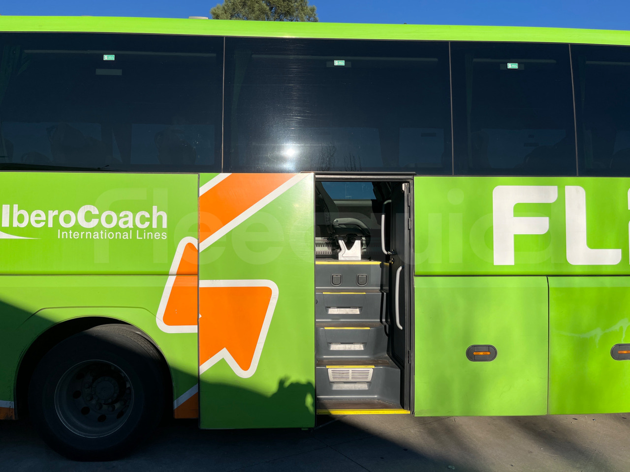 Leasing de  Man Lion's Coach Man Lion's Coach: foto 13