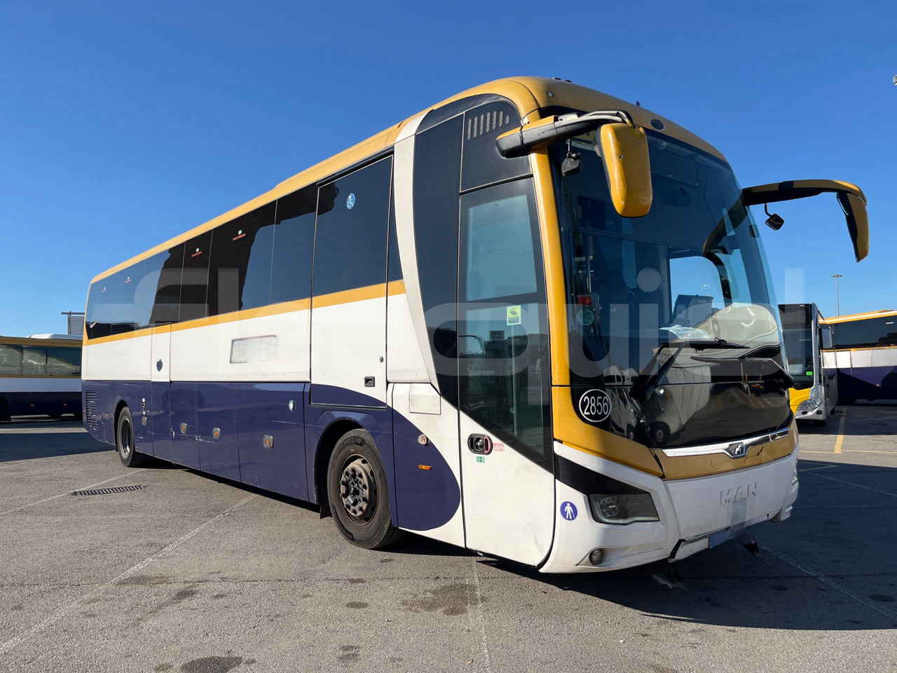 Man Lion's Coach - Autocar: foto 1 Man Lion's Coach - Autocar: foto 1