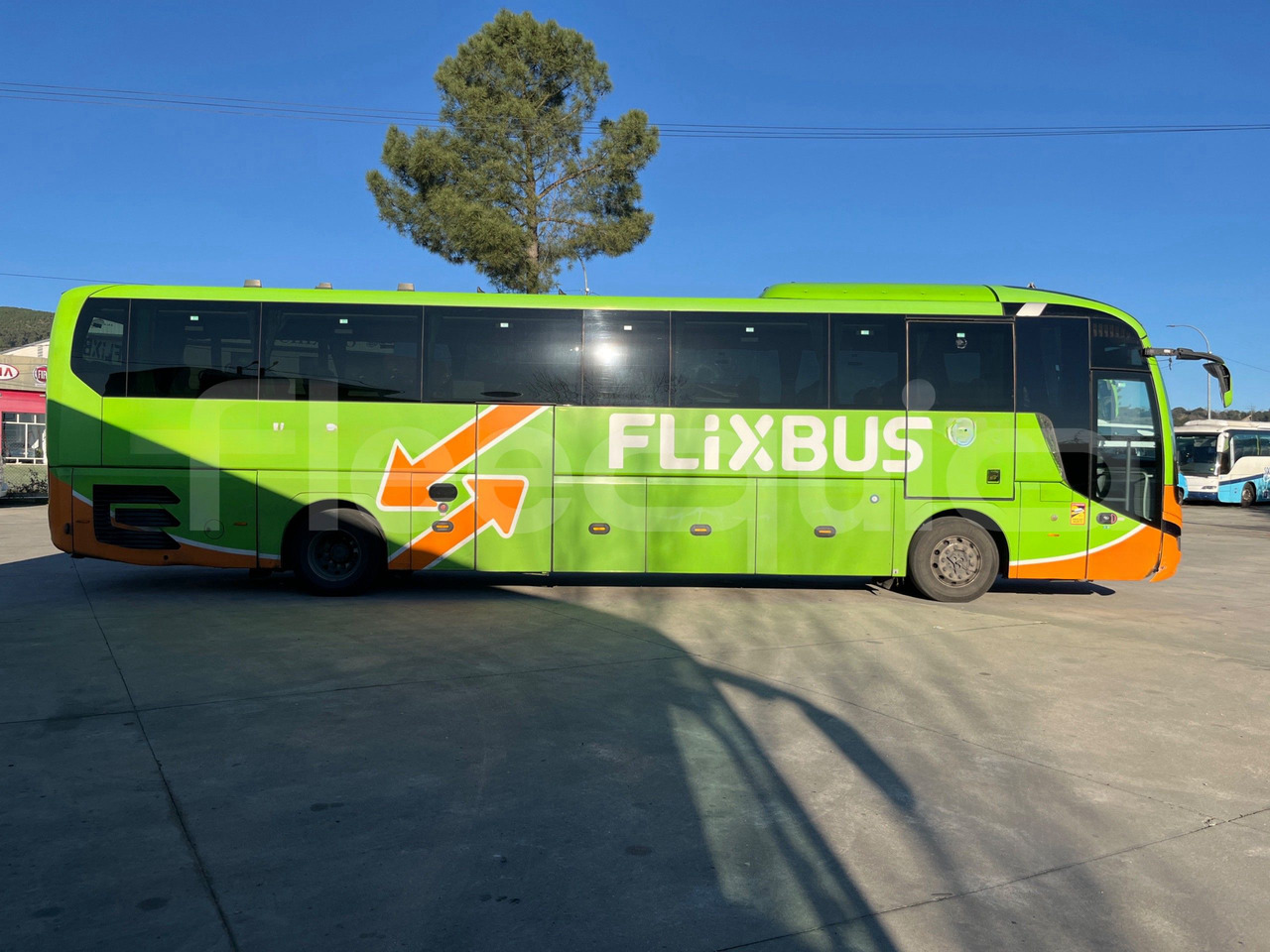 Leasing de  Man Lion's Coach Man Lion's Coach: foto 10
