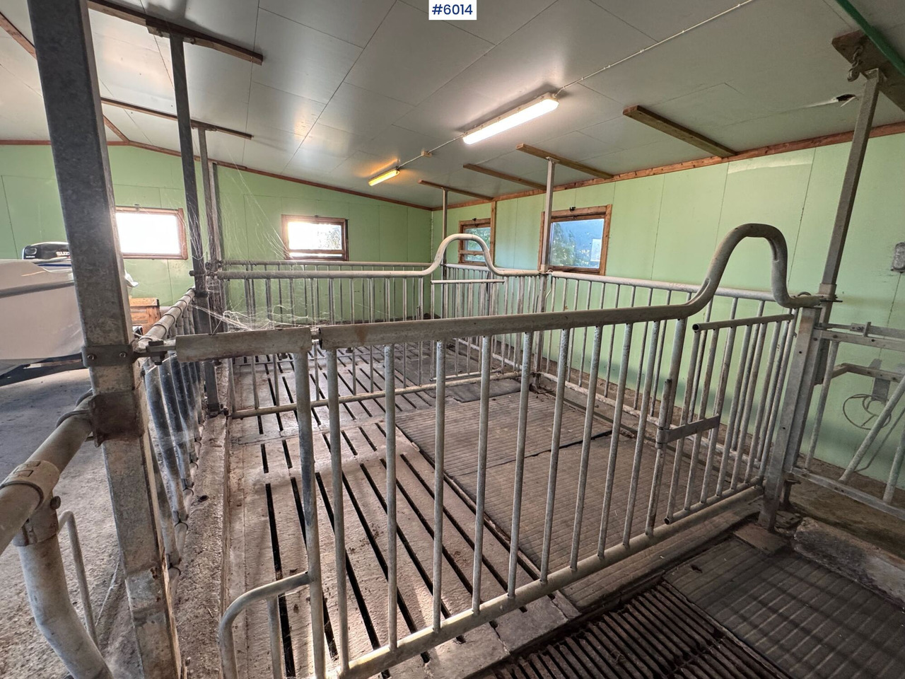 Maquinaria ganadera Catchment fronts and gates – space for 20–25 cows: foto 8