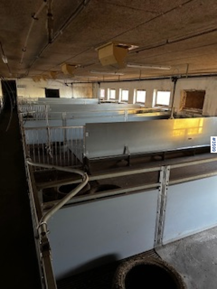 WEDG Pig House interior! - Maquinaria ganadera: foto 1 WEDG Pig House interior! - Maquinaria ganadera: foto 1