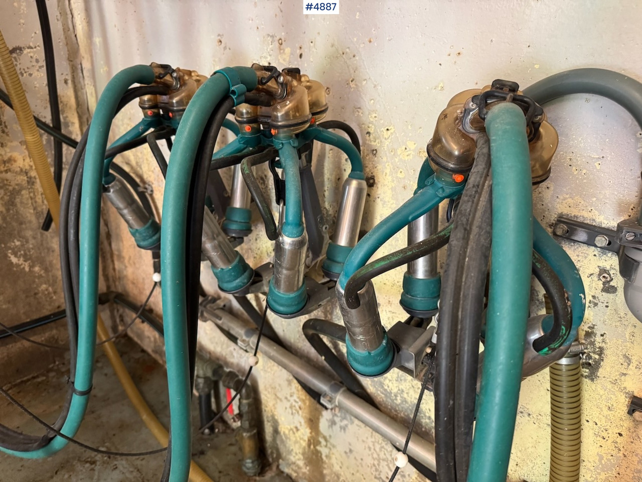 Westfalia Dairy Plant. - Máquina de ordeño: foto 4 Westfalia Dairy Plant. - Máquina de ordeño: foto 4