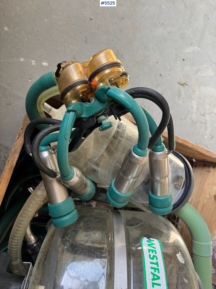 Westfalia Melkeanlegg - Máquina de ordeño: foto 4 Westfalia Melkeanlegg - Máquina de ordeño: foto 4