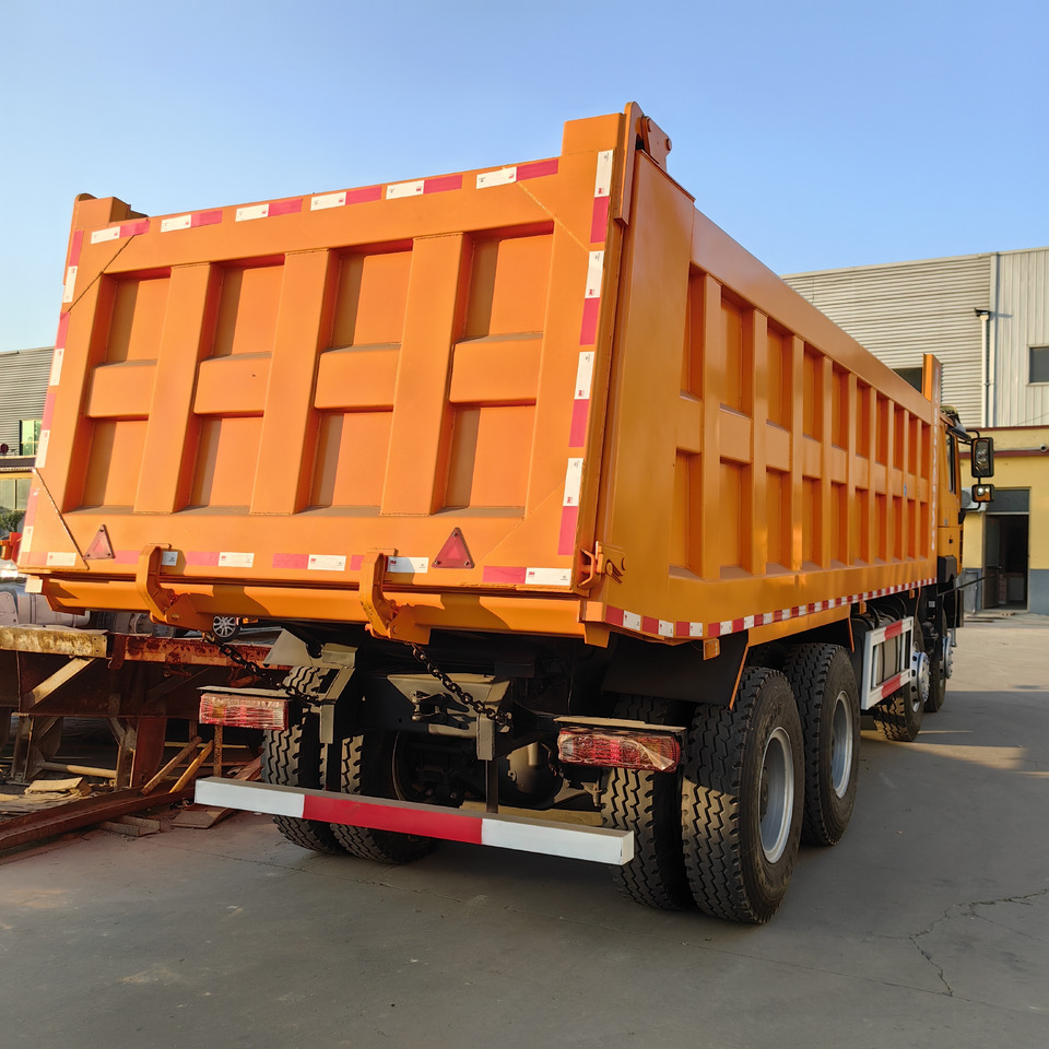 Camión volquete nuevo SHACMAN F3000: foto 6