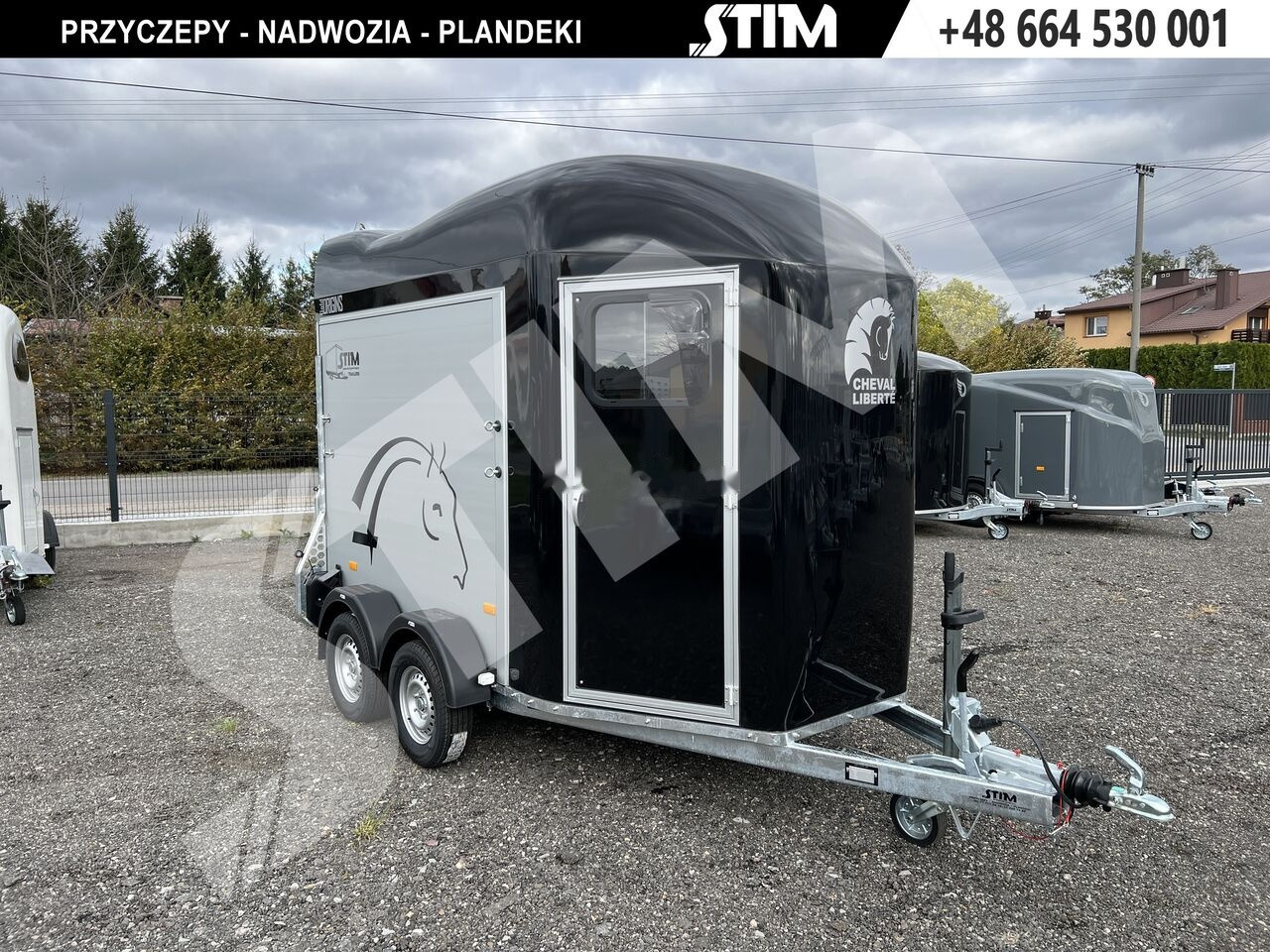 Remolque para caballos nuevo Cheval Liberté GOLD ORIGINS: foto 6