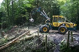 HSM 805 - Tractor forestal: foto 1 HSM 805 - Tractor forestal: foto 1