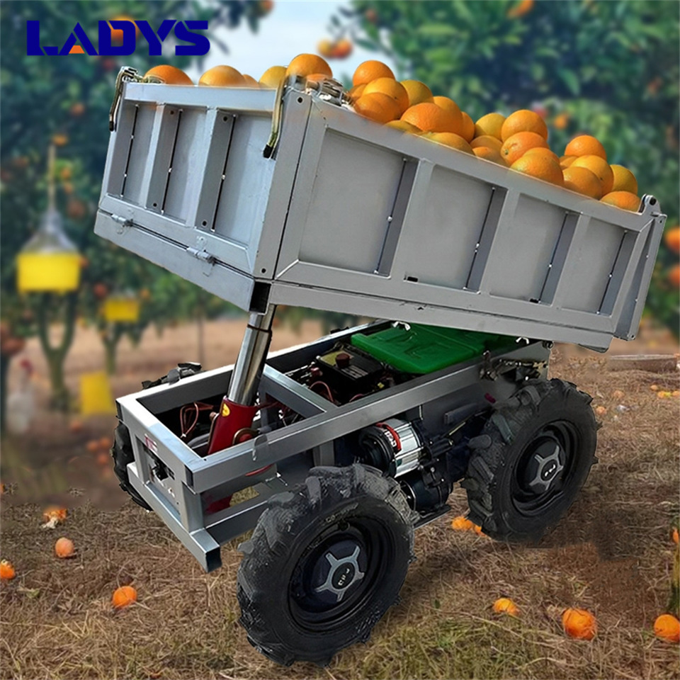 LADYS Electric Remote Control Transporter Agricultural Orchard Farm Electric Utv Dump Trailer Material Handling Equipment All Terrain Transport Vehicle - Cuadrimoto: foto 2 LADYS Electric Remote Control Transporter Agricultural Orchard Farm Electric Utv Dump Trailer Material Handling Equipment All Terrain Transport Vehicle - Cuadrimoto: foto 2