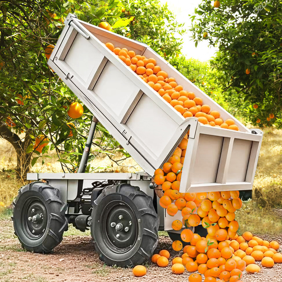 LEZUM Electric Remote Control Transporter Agricultural Orchard Farm Electric Utv Material Handling Equipment All Terrain Transport Vehicle - Cuadrimoto: foto 4 LEZUM Electric Remote Control Transporter Agricultural Orchard Farm Electric Utv Material Handling Equipment All Terrain Transport Vehicle - Cuadrimoto: foto 4