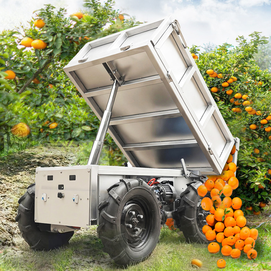 LEZUM Electric Remote Control Transporter Agricultural Orchard Farm Electric Utv Material Handling Equipment All Terrain Transport Vehicle - Cuadrimoto: foto 1 LEZUM Electric Remote Control Transporter Agricultural Orchard Farm Electric Utv Material Handling Equipment All Terrain Transport Vehicle - Cuadrimoto: foto 1