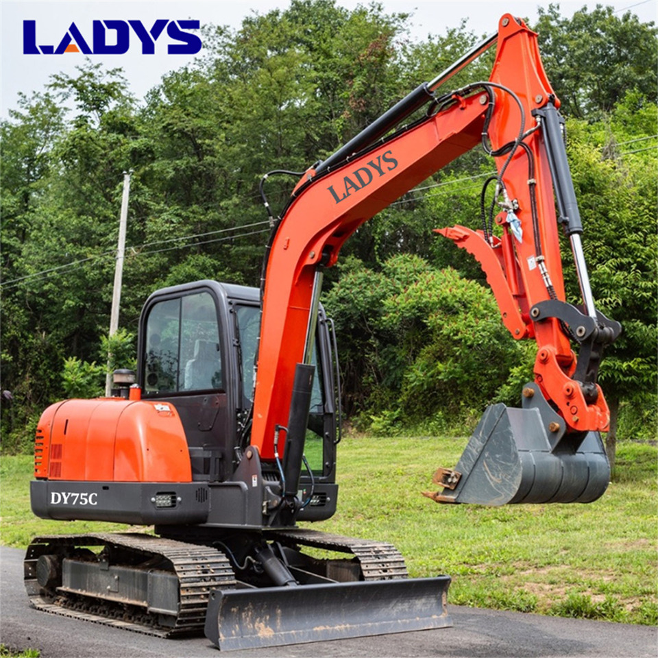 LADYS DY75C Small Excavator Euro 5/Epa Yanmar Engine Small Excavator Crawler Excavator For Sale - Excavadora de cadenas: foto 4 LADYS DY75C Small Excavator Euro 5/Epa Yanmar Engine Small Excavator Crawler Excavator For Sale - Excavadora de cadenas: foto 4