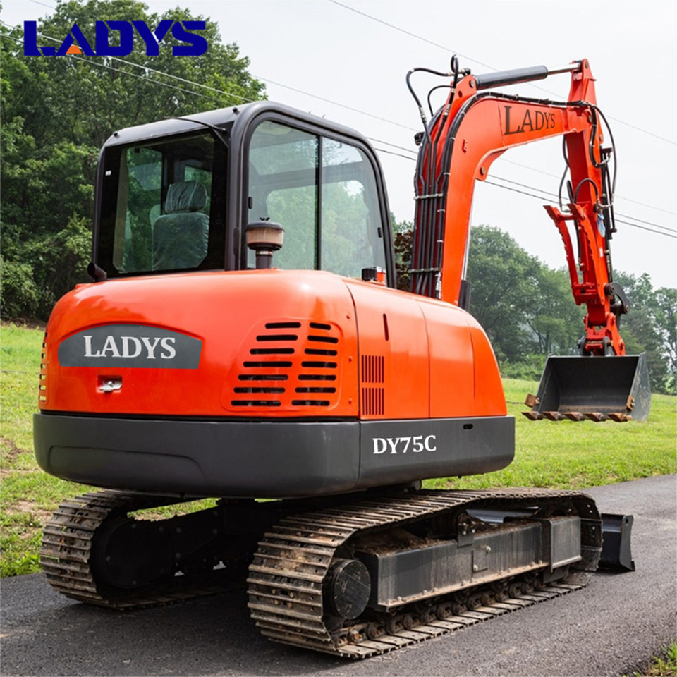 LADYS DY75C Small Excavator Euro 5/Epa Yanmar Engine Small Excavator Crawler Excavator For Sale - Excavadora de cadenas: foto 3 LADYS DY75C Small Excavator Euro 5/Epa Yanmar Engine Small Excavator Crawler Excavator For Sale - Excavadora de cadenas: foto 3