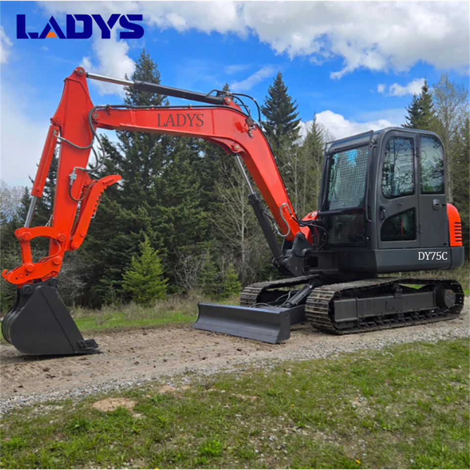 LADYS DY75C Small Excavator Euro 5/Epa Yanmar Engine Small Excavator Crawler Excavator For Sale - Excavadora de cadenas: foto 2 LADYS DY75C Small Excavator Euro 5/Epa Yanmar Engine Small Excavator Crawler Excavator For Sale - Excavadora de cadenas: foto 2
