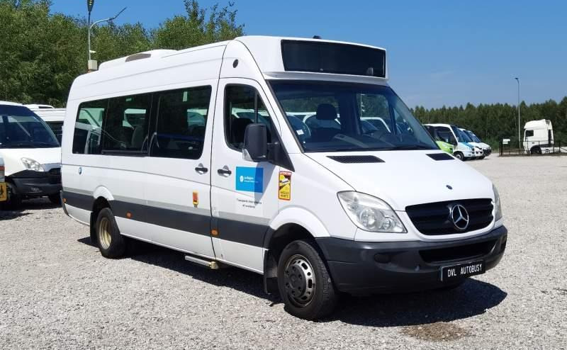 Autobús suburbano Mercedes-Benz Sprinter 516 *2x klimatyzacja*webasto* Euro 5: foto 1