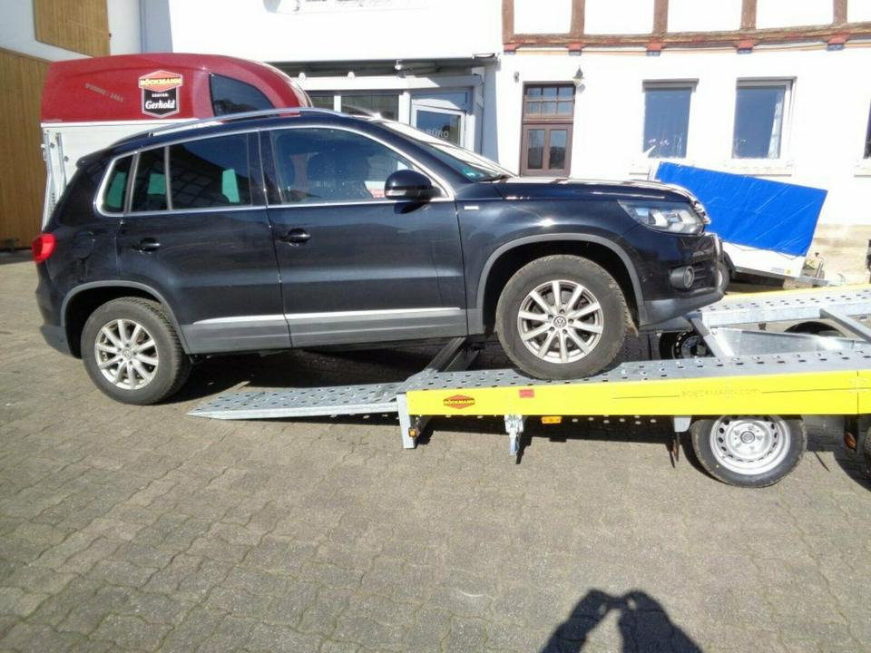 Remolque portavehículos Böckmann PKW-Anhänger, Autotransporter, 3,0to. kippbar, 100 km/h: foto 11 Remolque portavehículos Böckmann PKW-Anhänger, Autotransporter, 3,0to. kippbar, 100 km/h: foto 11