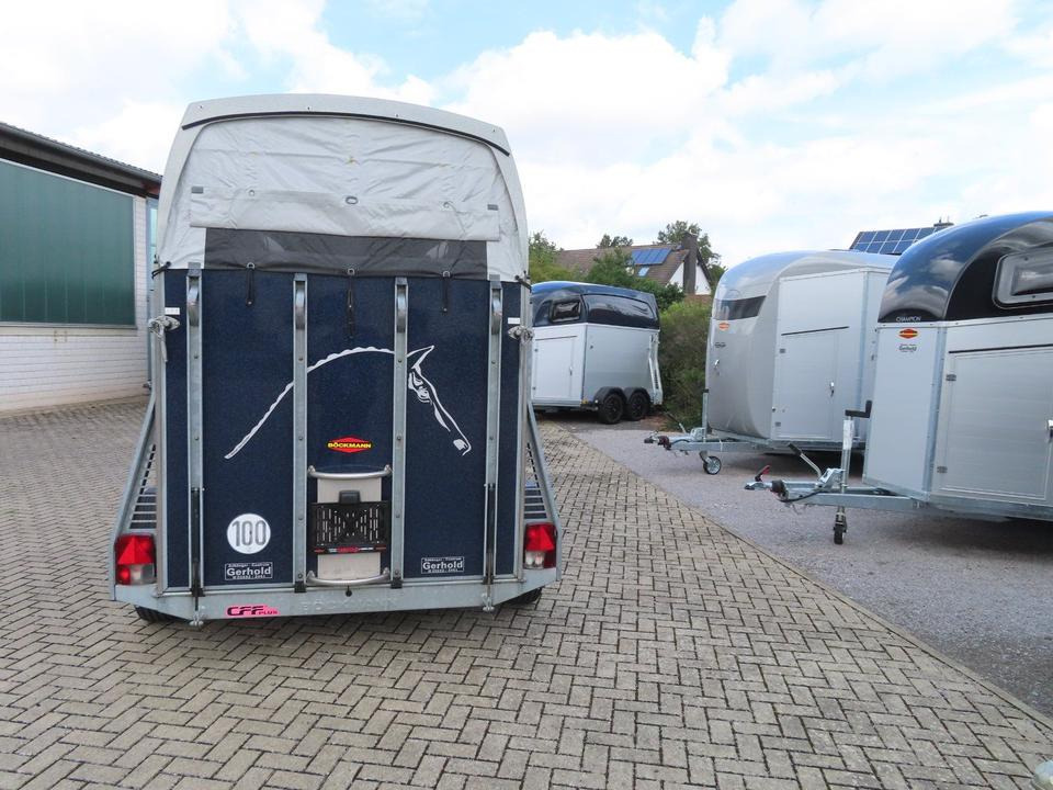 Remolque para caballos Böckmann, Pferdeanhänger, Comfort, CFF,Aluboden, SaKa, 100 km/h: foto 13 Remolque para caballos Böckmann, Pferdeanhänger, Comfort, CFF,Aluboden, SaKa, 100 km/h: foto 13