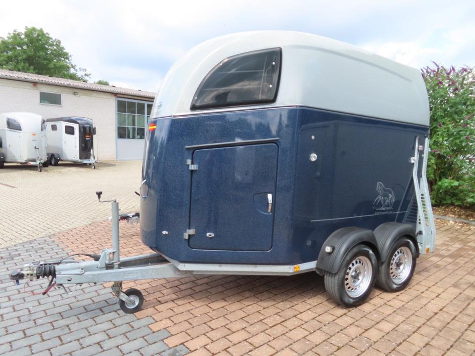 Remolque para caballos Böckmann, Pferdeanhänger, Comfort, CFF,Aluboden, SaKa, 100 km/h: foto 18 Remolque para caballos Böckmann, Pferdeanhänger, Comfort, CFF,Aluboden, SaKa, 100 km/h: foto 18