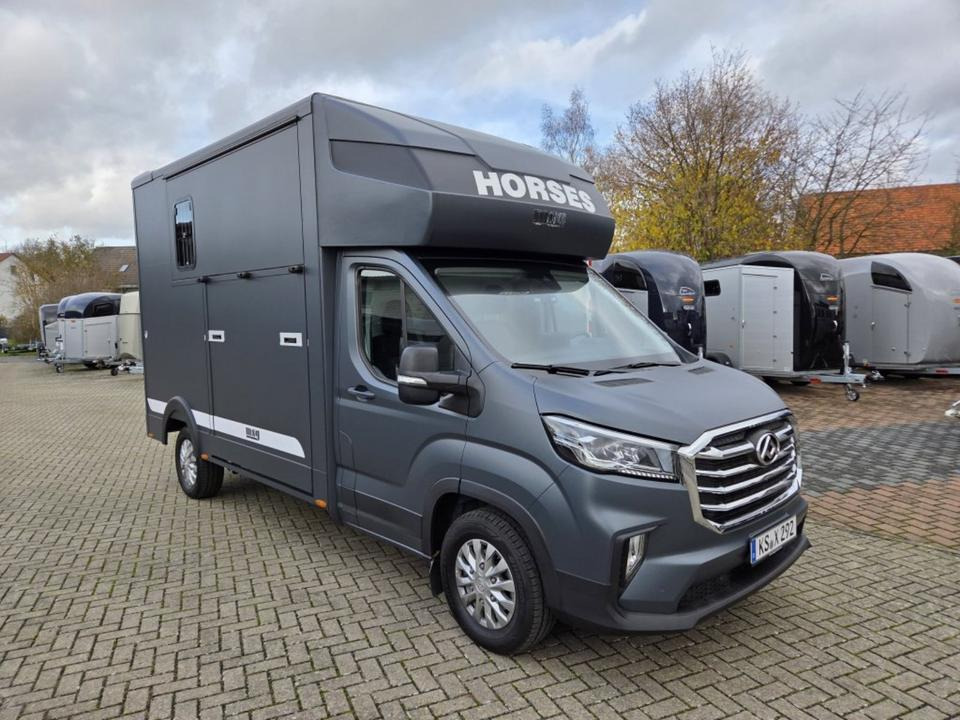 MSG Stablehopper Pferdetransporter Pferdeanhänger Böckmann - Camión para caballos: foto 5 MSG Stablehopper Pferdetransporter Pferdeanhänger Böckmann - Camión para caballos: foto 5