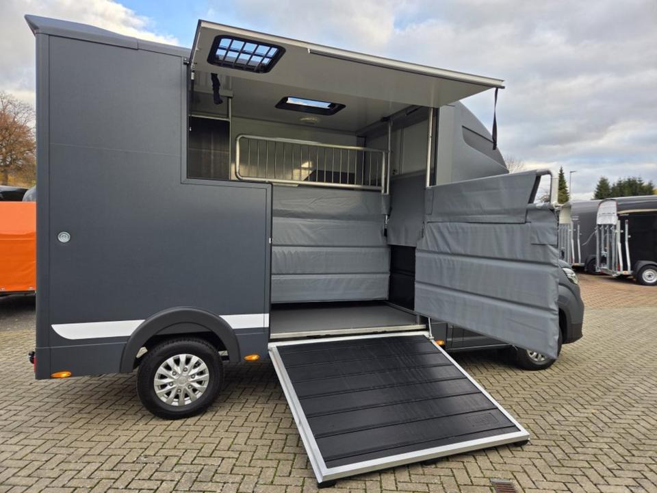 Camión para caballos MSG Stablehopper Pferdetransporter Pferdeanhänger Böckmann: foto 6 Camión para caballos MSG Stablehopper Pferdetransporter Pferdeanhänger Böckmann: foto 6