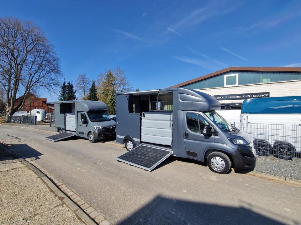 MSG Stablehopper Pferdetransporter Pferdeanhänger Böckmann - Camión para caballos: foto 1 MSG Stablehopper Pferdetransporter Pferdeanhänger Böckmann - Camión para caballos: foto 1