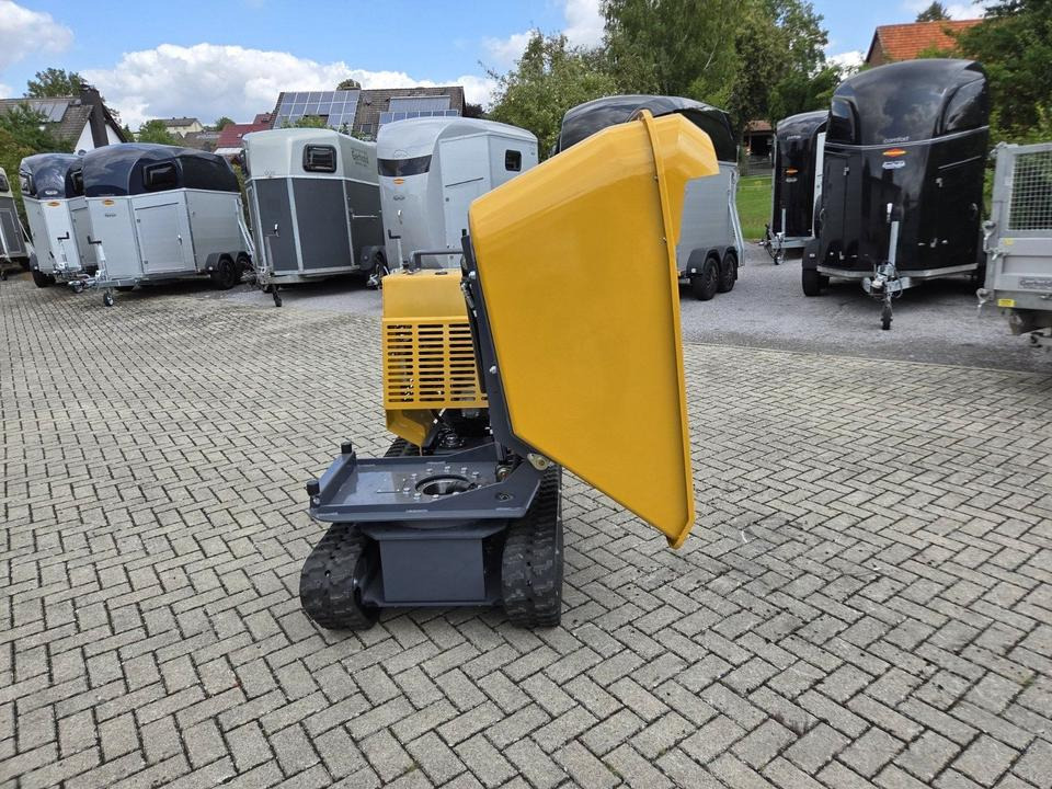 Muldendumper 1,2t Schwenkbar Kettendumper Dumper Mieten Leihen - Dúmper de cadenas: foto 4 Muldendumper 1,2t Schwenkbar Kettendumper Dumper Mieten Leihen - Dúmper de cadenas: foto 4