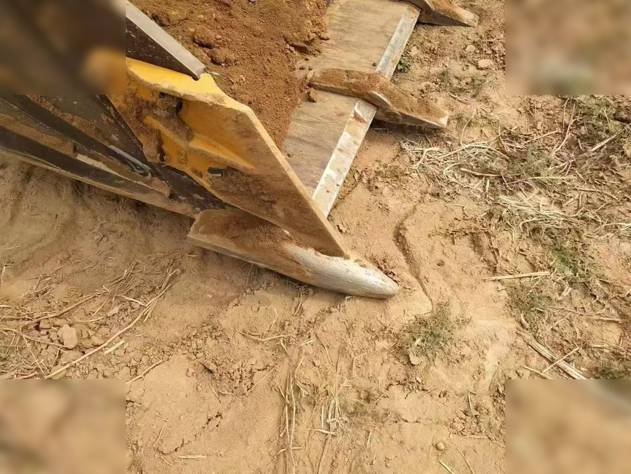 Cargadora de ruedas LONKING CDM855NE: foto 16