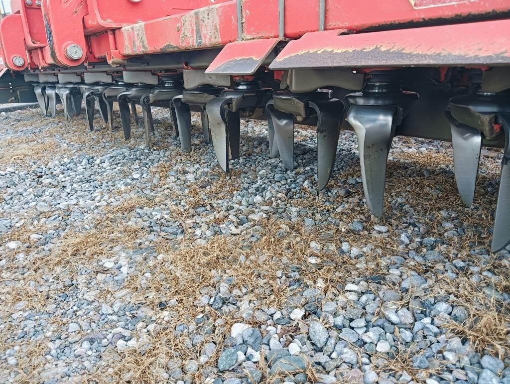 Maschio DMR 4000  - Grada rotativa: foto 2 Maschio DMR 4000  - Grada rotativa: foto 2