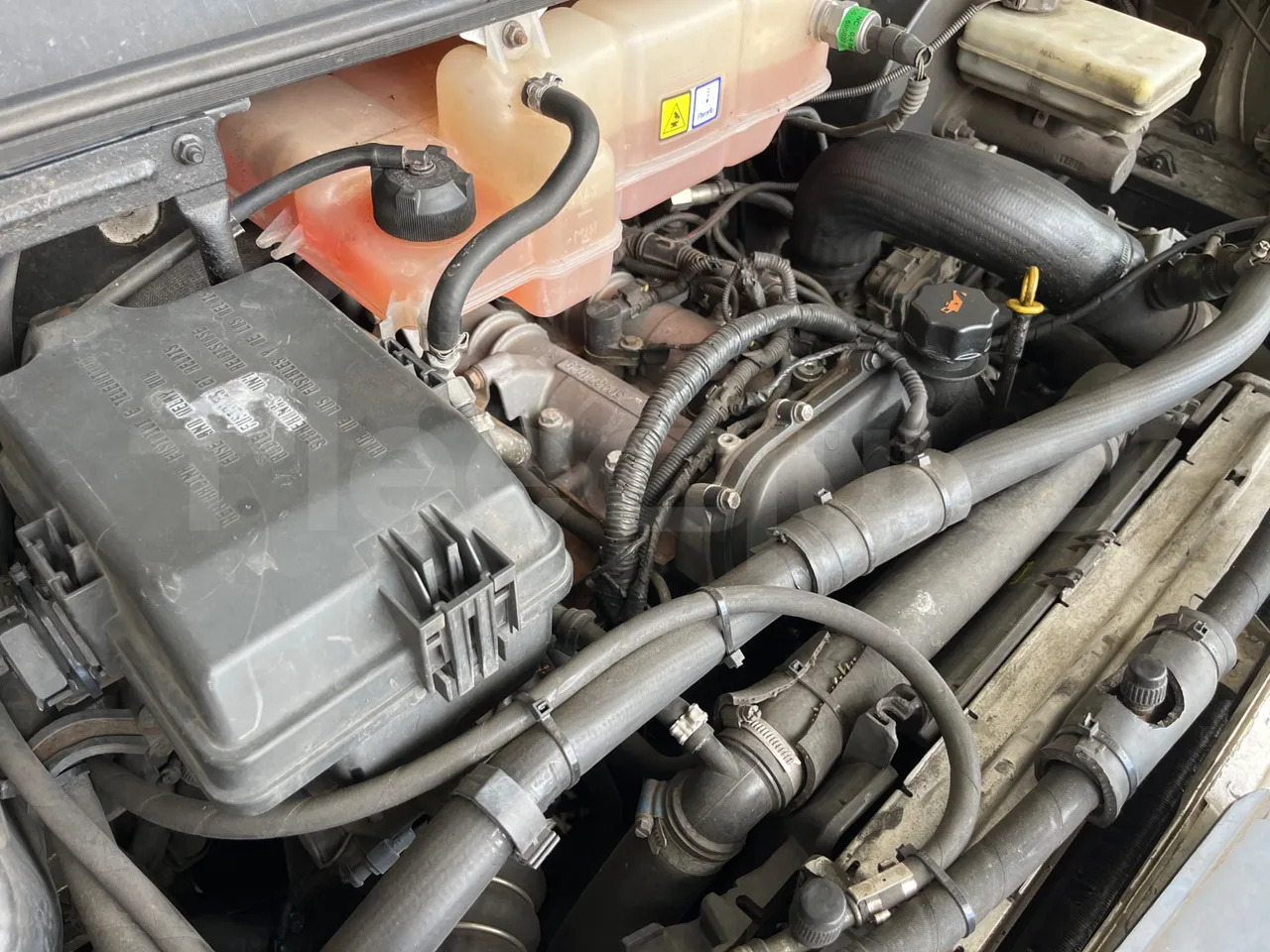 Autocar Iveco Daily: foto 19