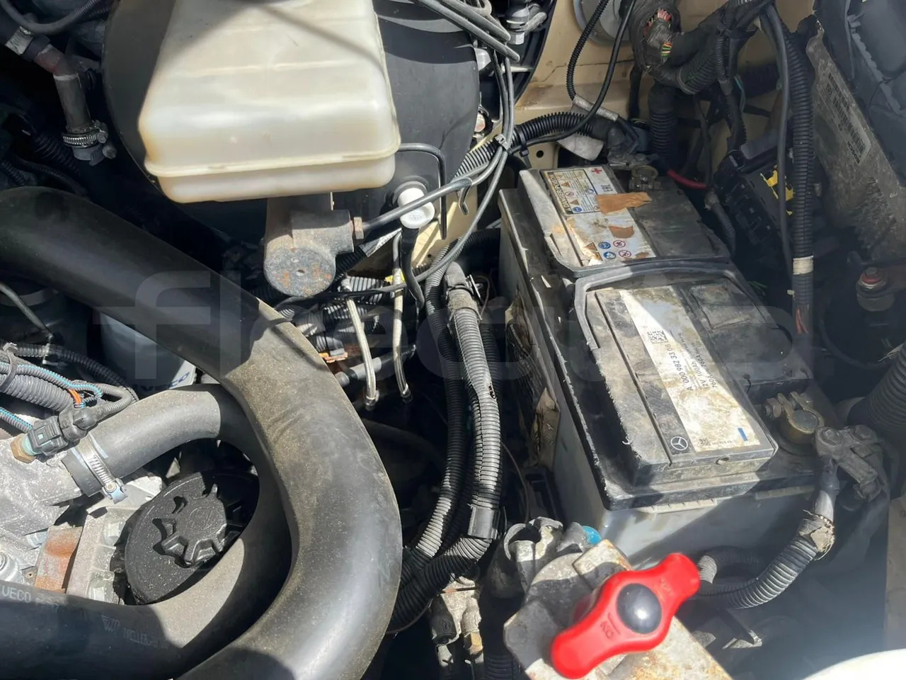 Autobús suburbano Iveco Indcar: foto 8 Autobús suburbano Iveco Indcar: foto 8