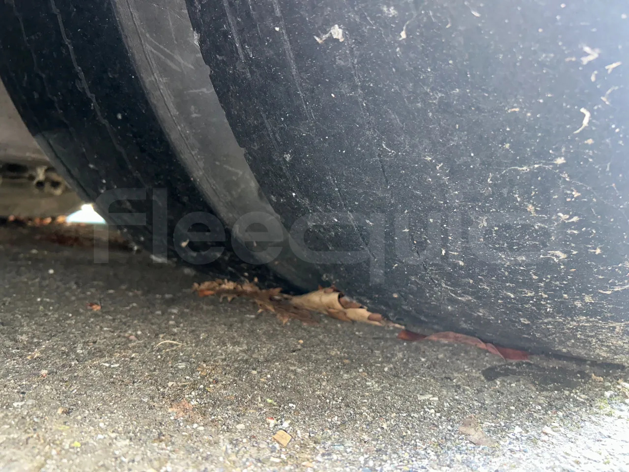 Autobús urbano Mercedes-Benz Citaro: foto 35 Autobús urbano Mercedes-Benz Citaro: foto 35