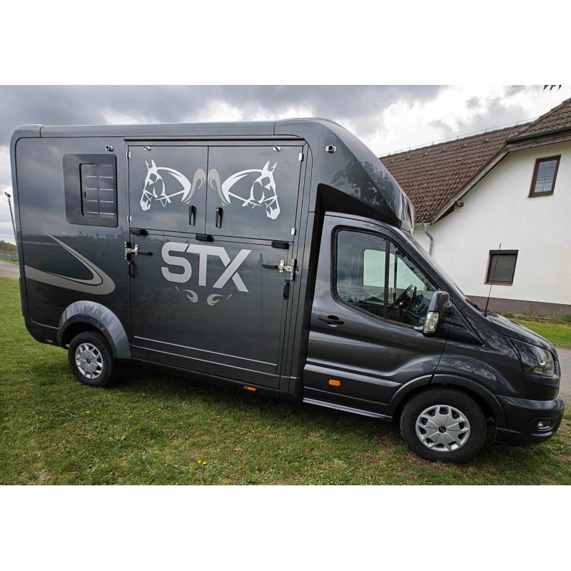 STX Ford Transit by Stephex - Camión para caballos: foto 3 STX Ford Transit by Stephex - Camión para caballos: foto 3