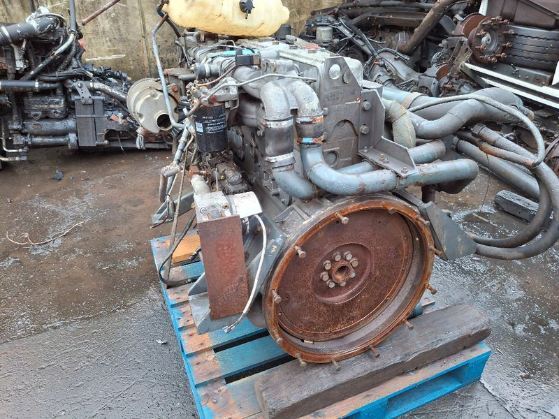 DAF RS180M (75CF) - Motor: foto 3 DAF RS180M (75CF) - Motor: foto 3