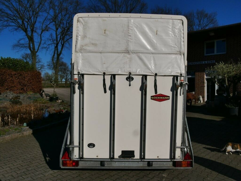 Böckmann Big Master Boden NEU - Remolque para caballos: foto 3 Böckmann Big Master Boden NEU - Remolque para caballos: foto 3