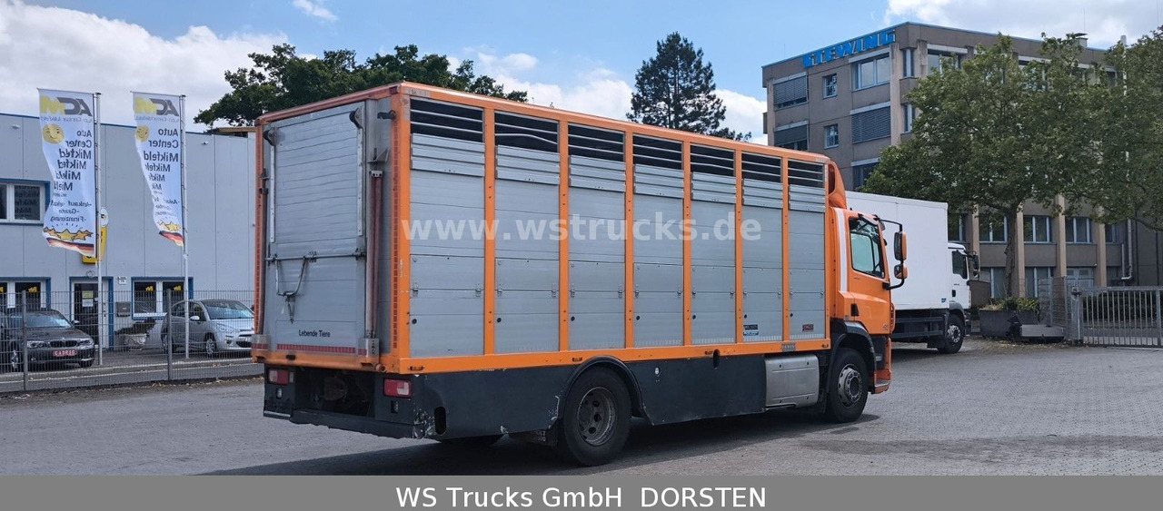DAF CF 400 Menke Einstock - Camión para caballos: foto 5 DAF CF 400 Menke Einstock - Camión para caballos: foto 5