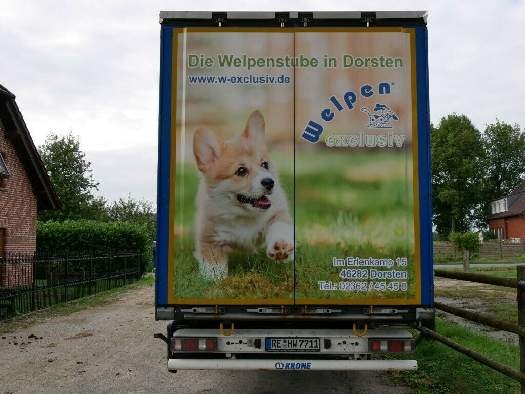 Krone SDP27 Profiliner Edscher XL Top Krone SDP27 Profiliner Edscher XL Top - Semirremolque lona: foto 3 Krone SDP27 Profiliner Edscher XL Top Krone SDP27 Profiliner Edscher XL Top - Semirremolque lona: foto 3