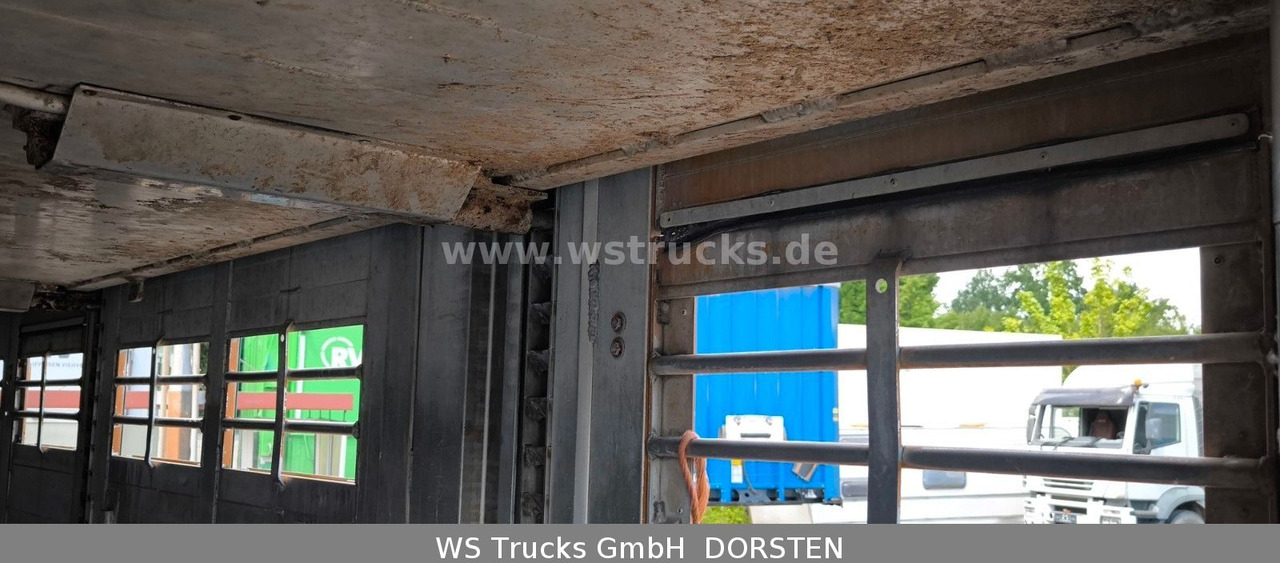 Remolque transporte de ganado Menke-Janzen Menke 2 Stock  Vollalu 8 m Hubdach Viehanhänger: foto 11