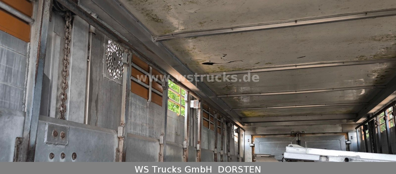 Remolque transporte de ganado Menke-Janzen Menke 2 Stock  Vollalu 8 m Hubdach Viehanhänger: foto 13